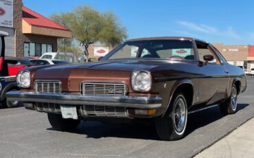 Oldsmobile-Restomod-ls3-1973-brown-3