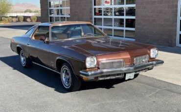 Oldsmobile-Restomod-ls3-1973-brown