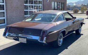 Oldsmobile-Restomod-ls3-1973-brown-6