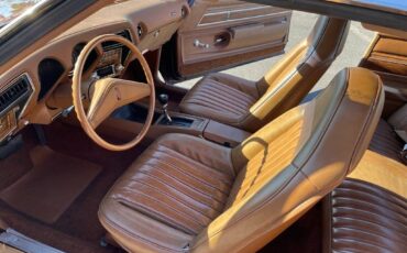 Oldsmobile-Restomod-ls3-1973-brown-9