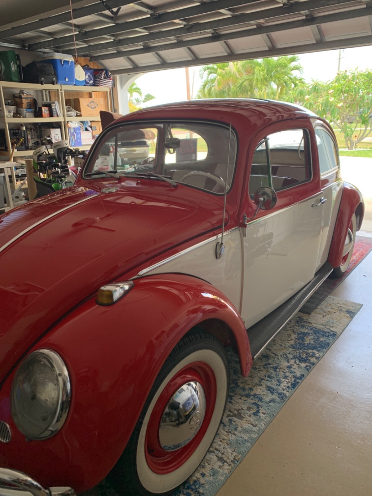 Other-Makes-Classic-1964-6
