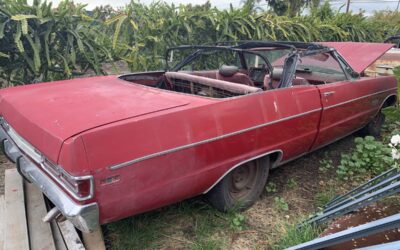 Plymouth   1969 red