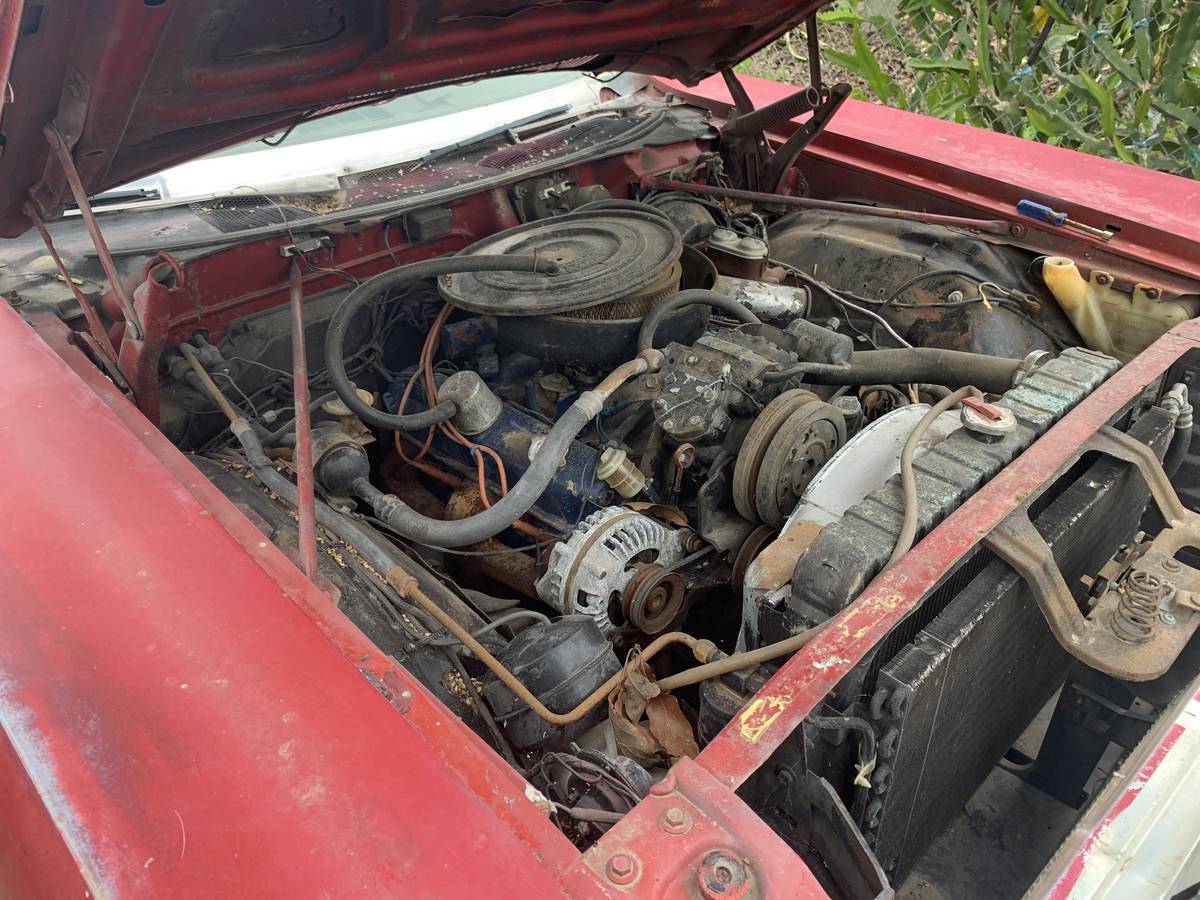 Plymouth-1969-red-5