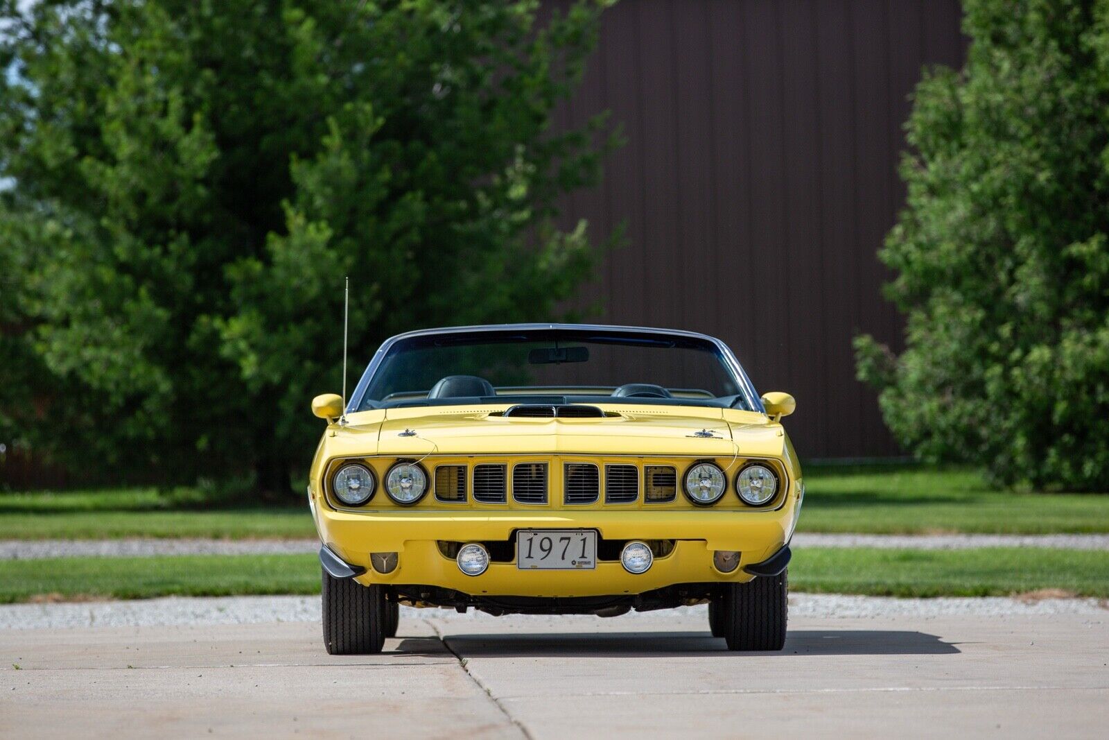 Plymouth-Barracuda-1971-Convertible-6