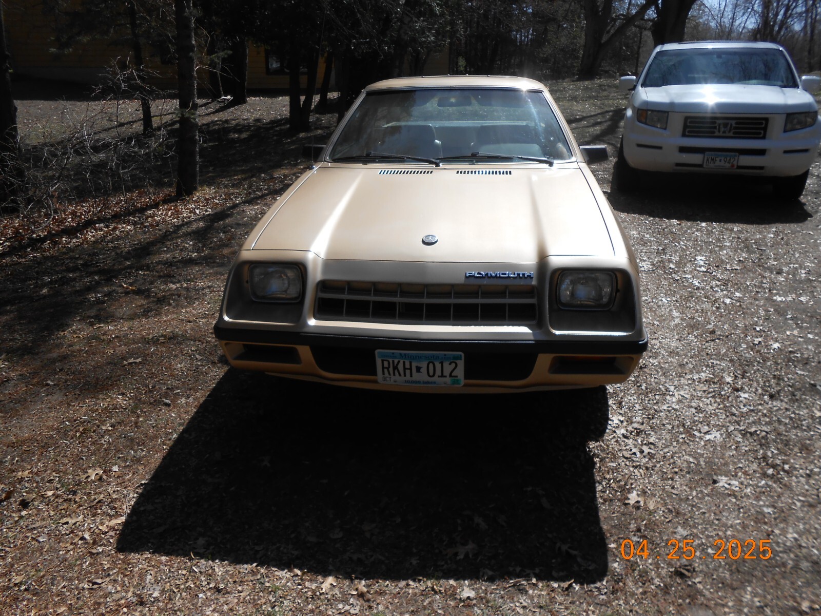 Plymouth-Other-1983-Crew-Cab-Pickup-6