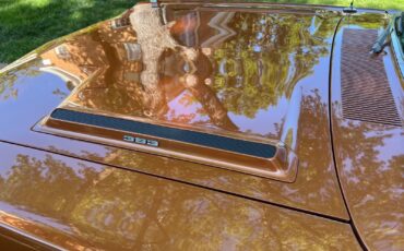 Plymouth-Road-Runner-1969-Convertible-15