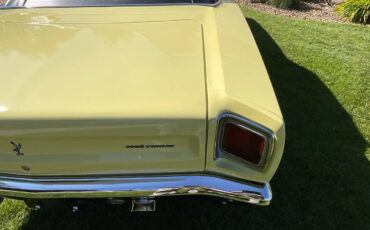Plymouth-Road-Runner-1969-Convertible-19
