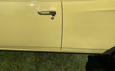 Plymouth-Road-Runner-1969-Convertible-30