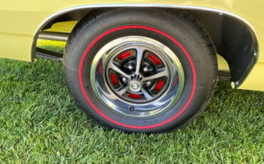 Plymouth-Road-Runner-1969-Convertible-34