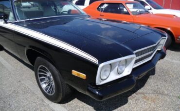 Plymouth-Road-Runner-1974-Road-Runner-1