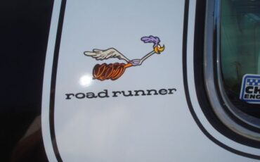 Plymouth-Road-Runner-1974-Road-Runner-11