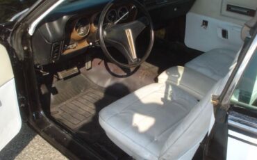 Plymouth-Road-Runner-1974-Road-Runner-14