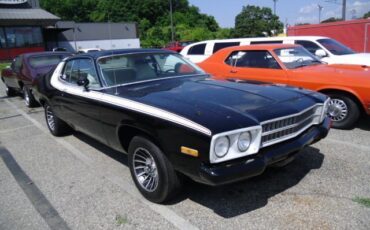 Plymouth-Road-Runner-1974-Road-Runner-4