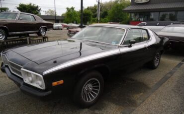 Plymouth-Road-Runner-1974-Road-Runner-5