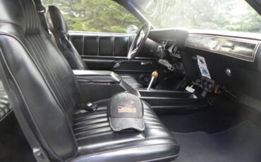 Plymouth-Road-runner-1975-grey-10