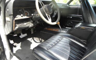 Plymouth-Road-runner-1975-grey-5