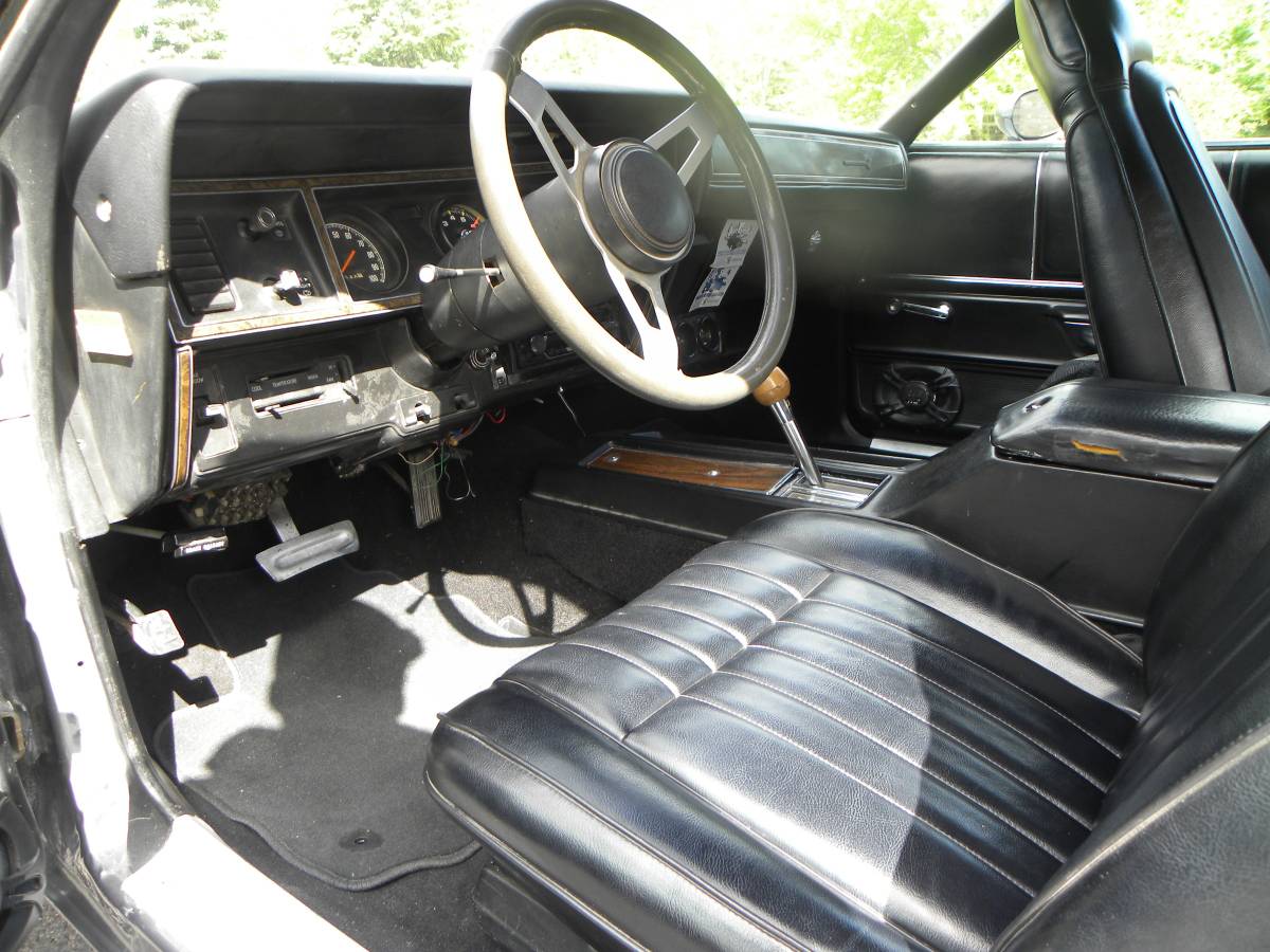 Plymouth-Road-runner-1975-grey-5