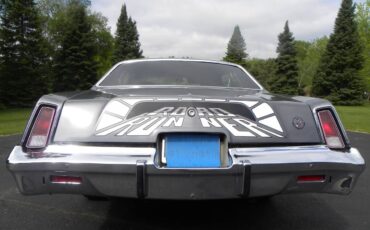 Plymouth-Road-runner-1975-grey-6