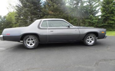 Plymouth-Road-runner-1975-grey-7