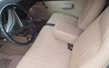 Plymouth-Scamp-1975-Coupe-10