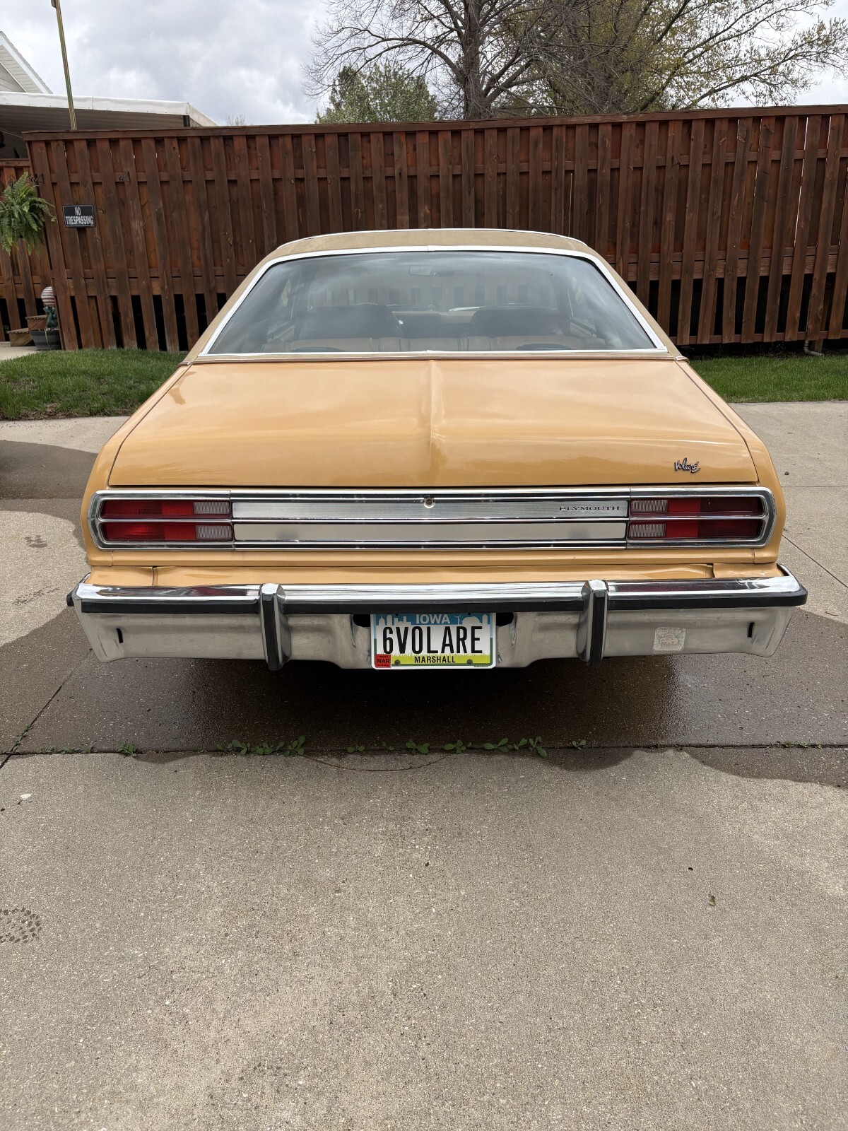 Plymouth-Volare-1976-Coupe-2