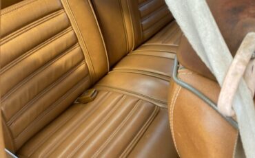 Plymouth-Volare-1976-Coupe-6