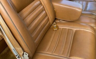 Plymouth-Volare-1976-Coupe-7