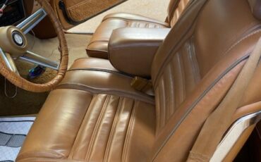 Plymouth-Volare-1976-Coupe-9