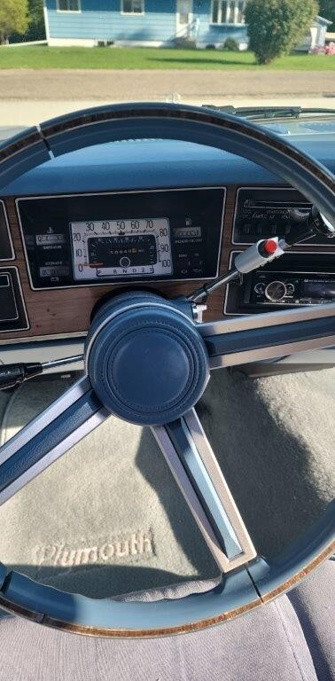 Plymouth-Volare-1977-Coupe-7