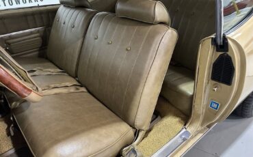 Pontiac-Custom-S-1969-Coupe-11