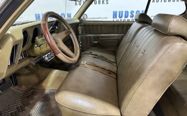 Pontiac-Custom-S-1969-Coupe-12