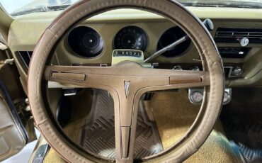 Pontiac-Custom-S-1969-Coupe-14