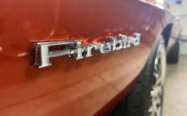 Pontiac-Firebird-1969-Convertible-12