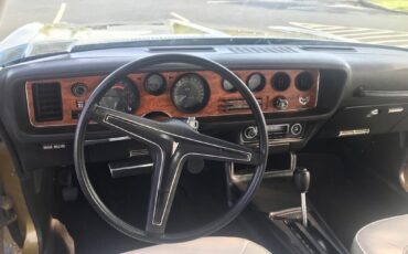 Pontiac-Firebird-1974-Coupe-14