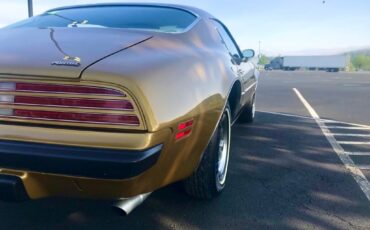 Pontiac-Firebird-1974-Coupe-8