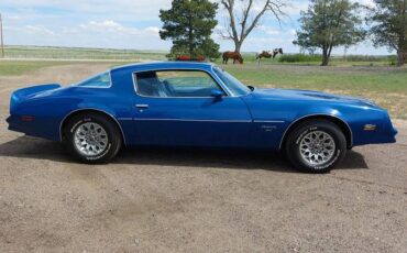 Pontiac-Firebird-1977-blue-2