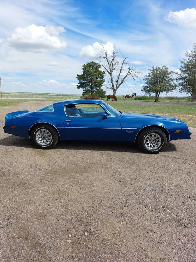 Pontiac-Firebird-1977-blue-2