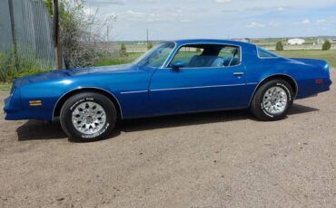 Pontiac-Firebird-1977-blue-3