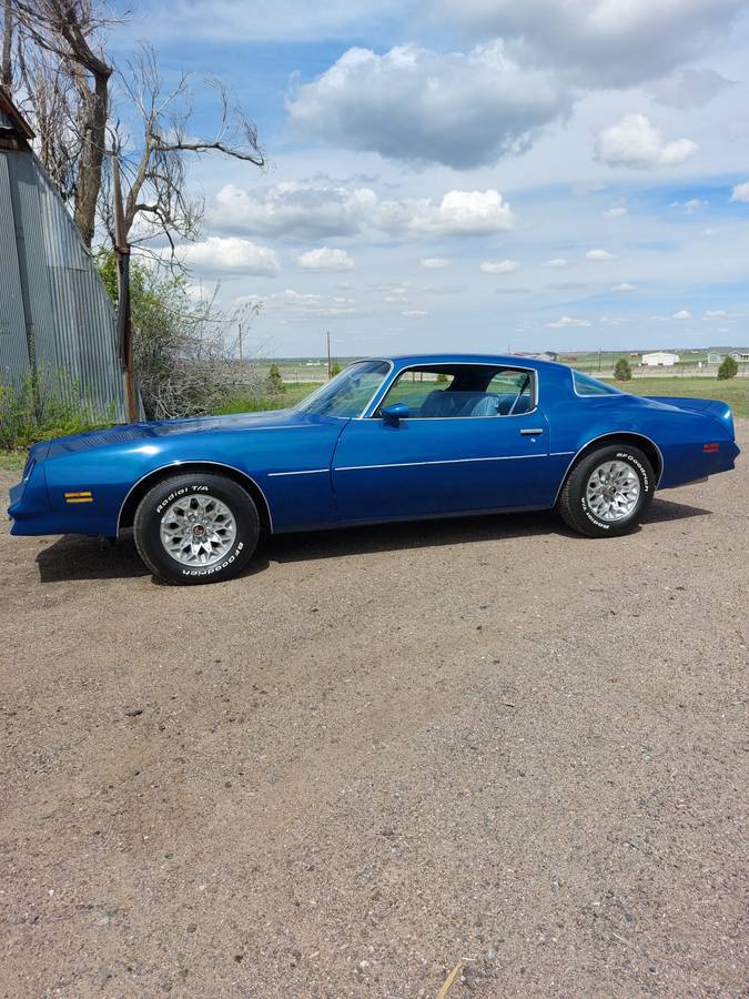 Pontiac-Firebird-1977-blue-3