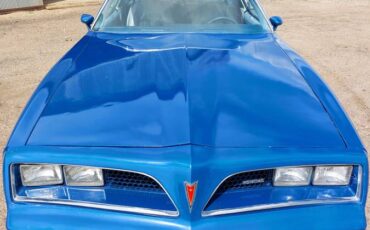 Pontiac-Firebird-1977-blue-6