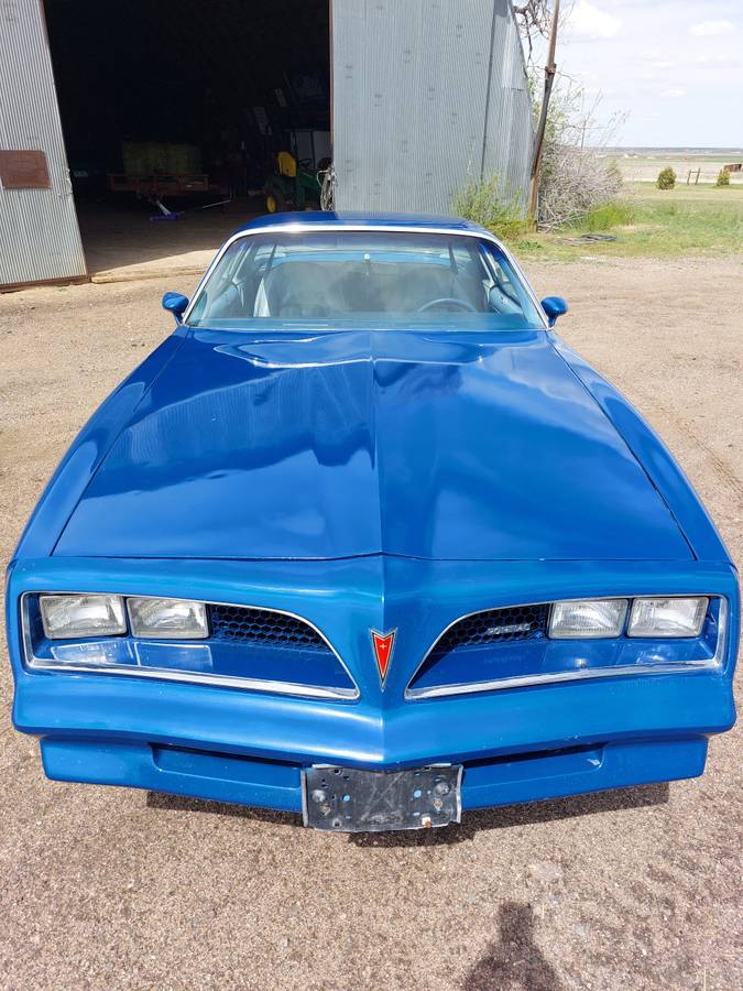 Pontiac-Firebird-1977-blue-6