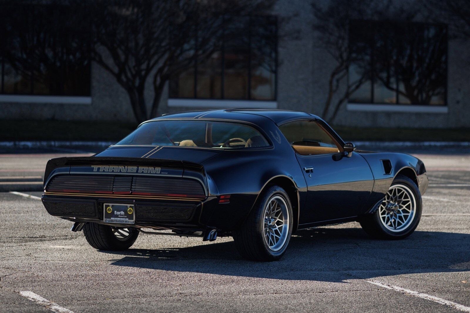 Pontiac-Firebird-1980-2D-Coupe-10