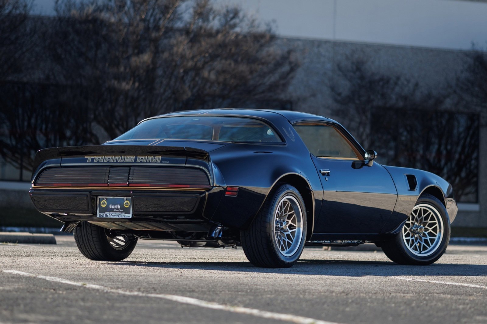 Pontiac-Firebird-1980-2D-Coupe-11