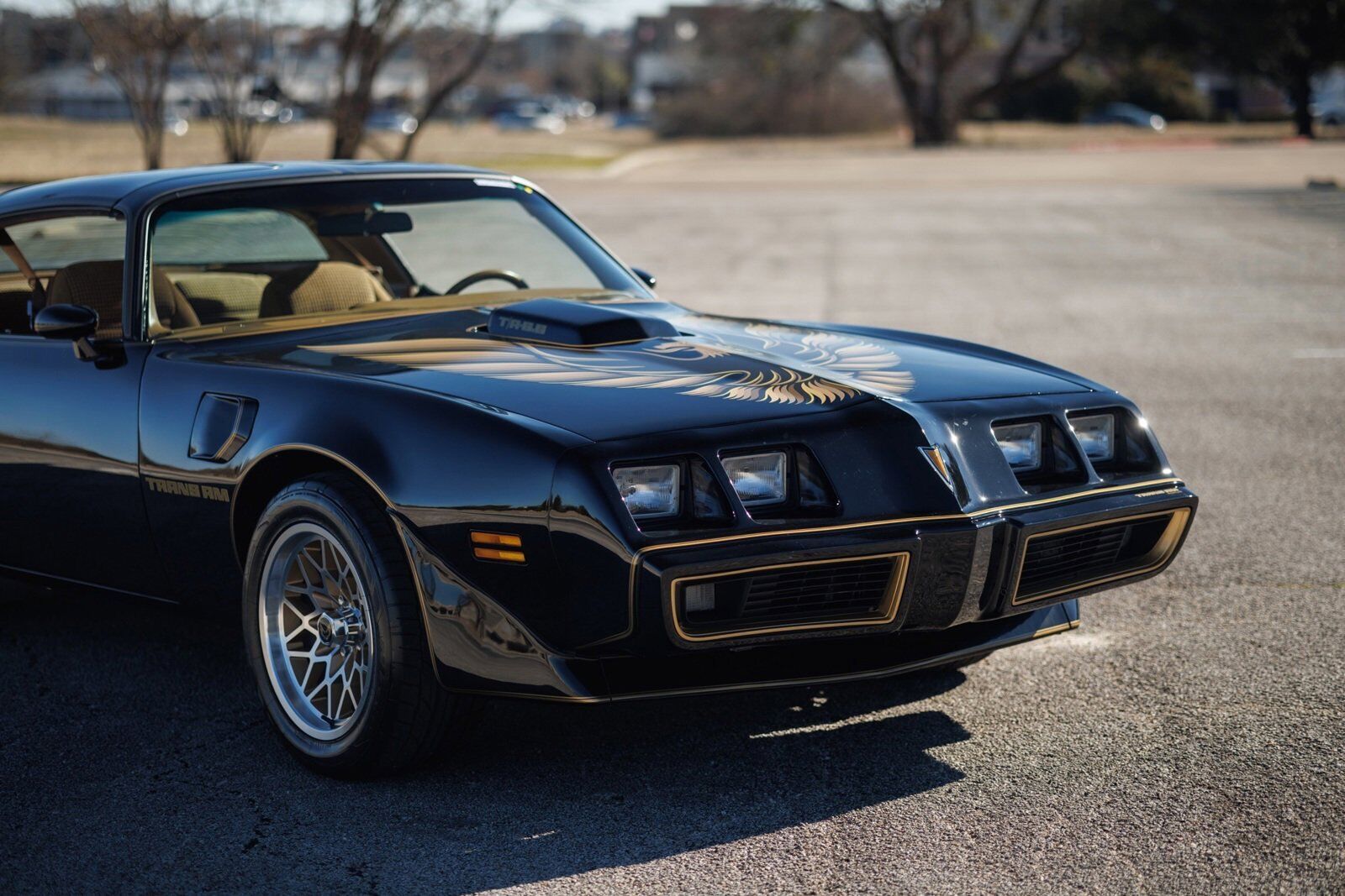 Pontiac-Firebird-1980-2D-Coupe-12