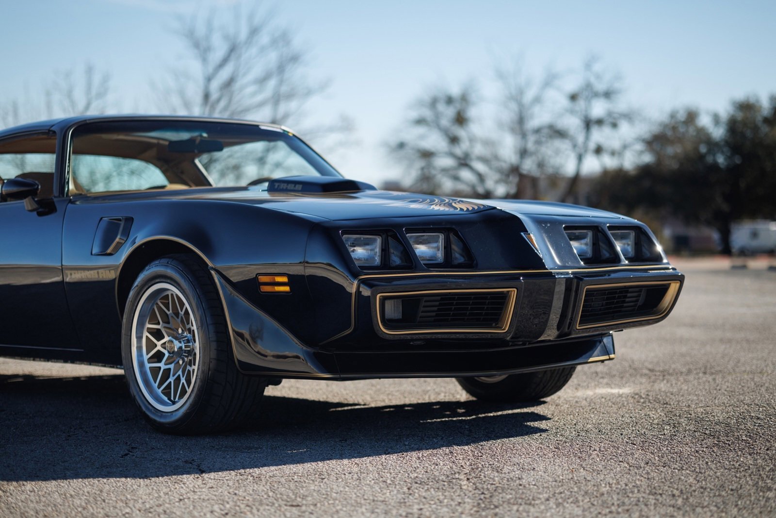 Pontiac-Firebird-1980-2D-Coupe-13