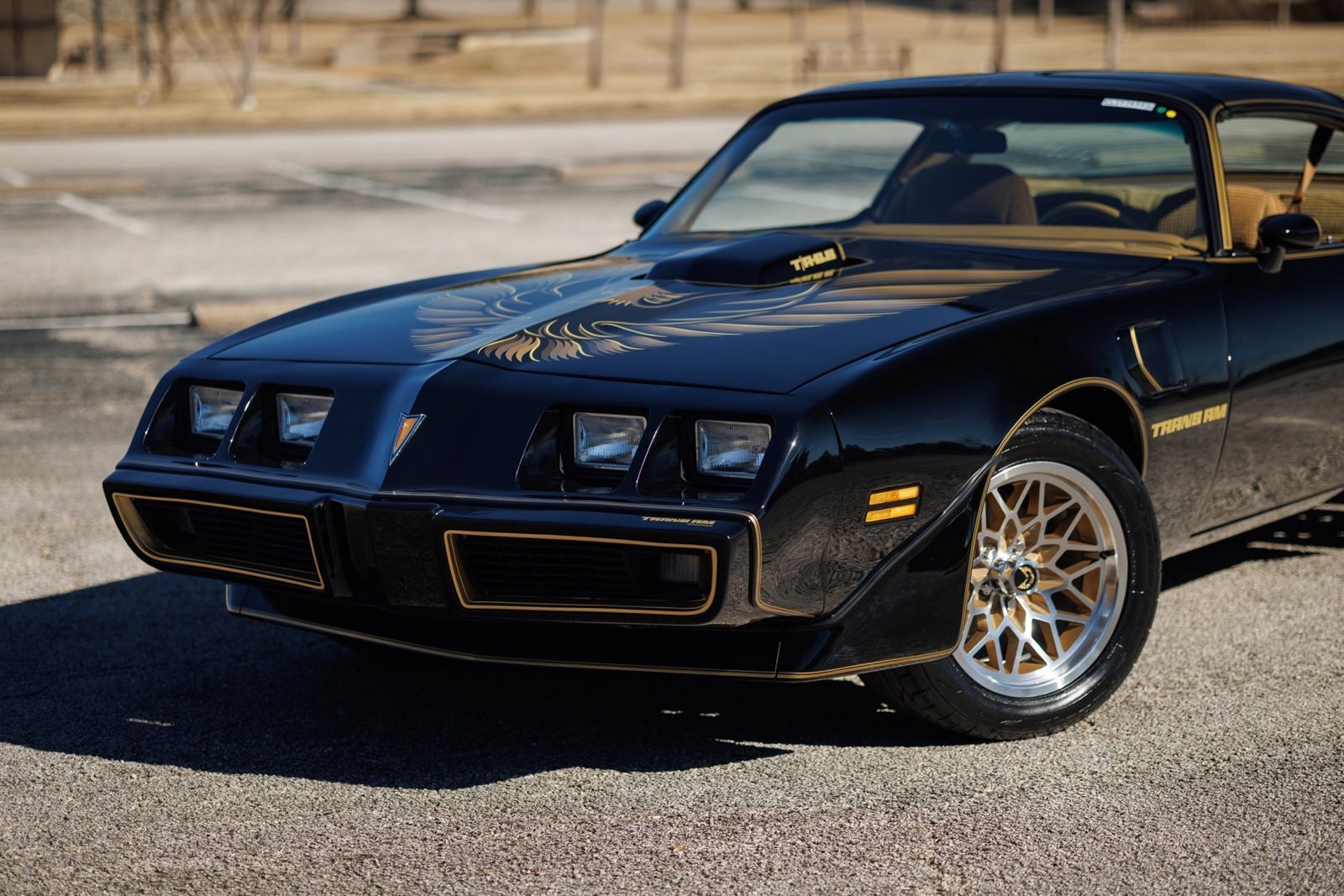Pontiac-Firebird-1980-2D-Coupe-16