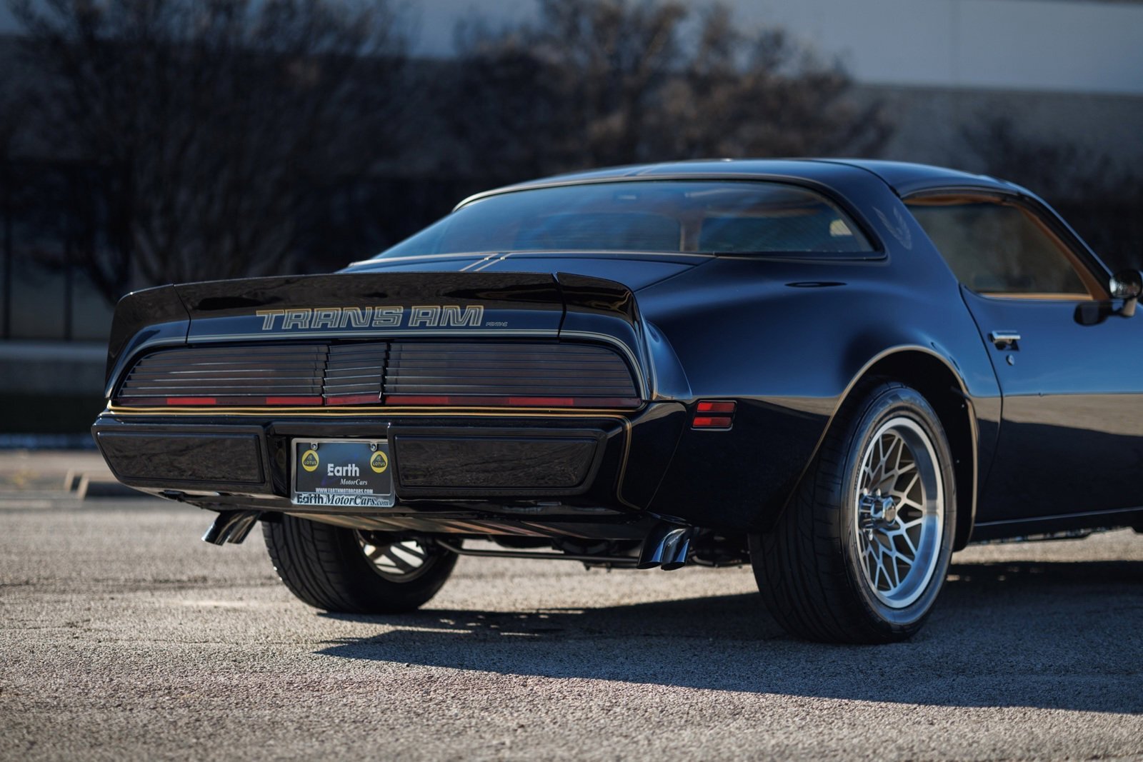 Pontiac-Firebird-1980-2D-Coupe-19