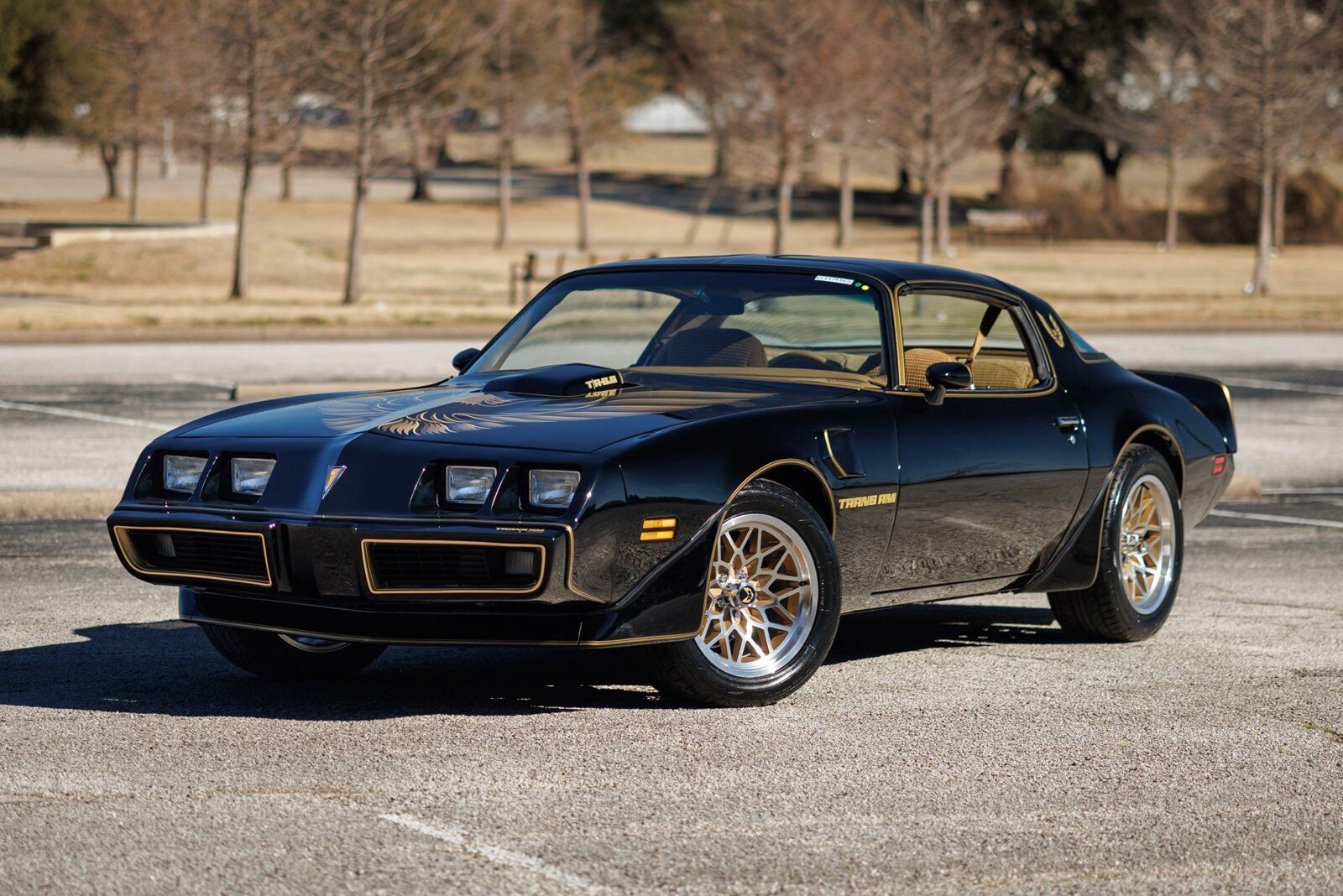 Pontiac-Firebird-1980-2D-Coupe-2