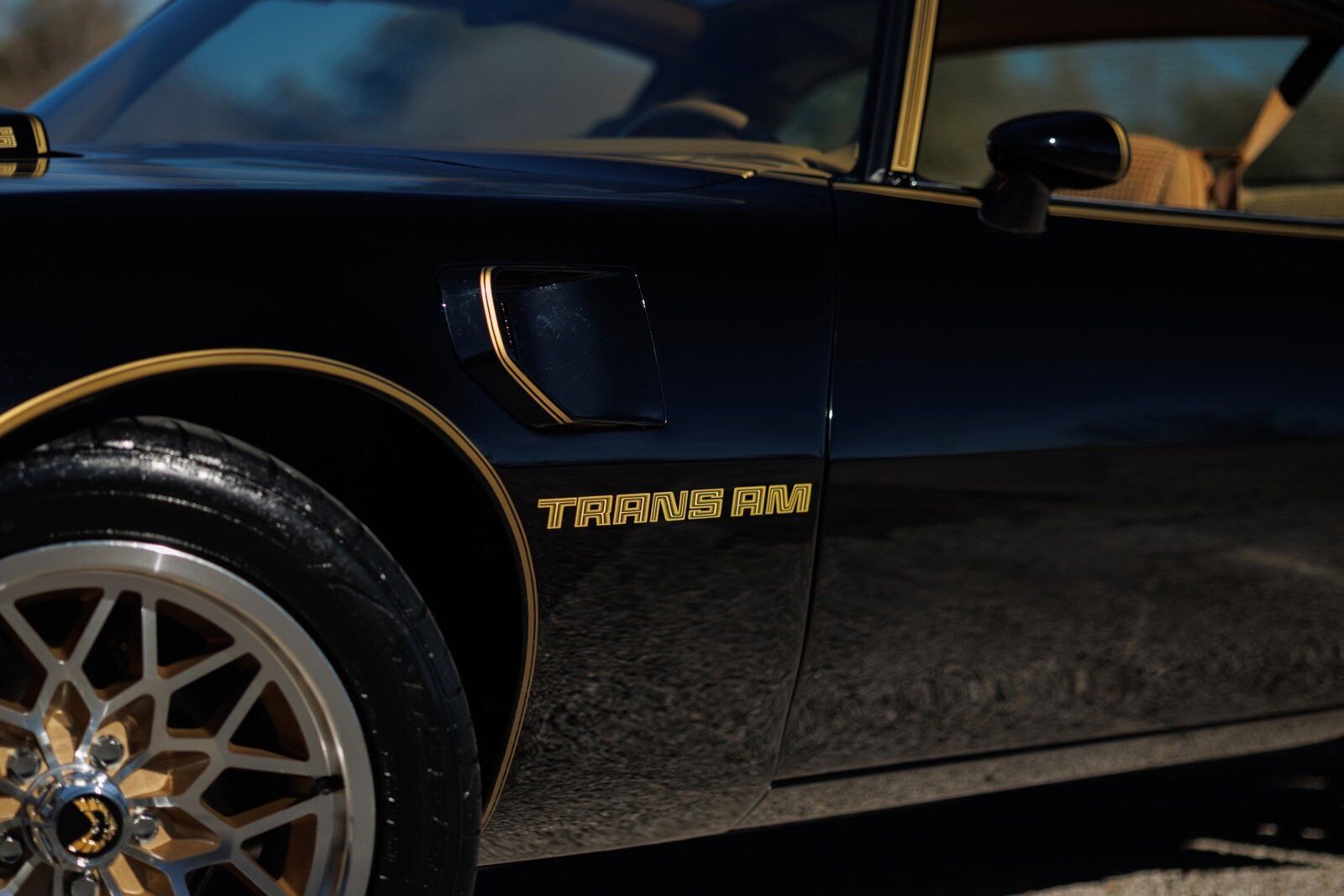 Pontiac-Firebird-1980-2D-Coupe-23