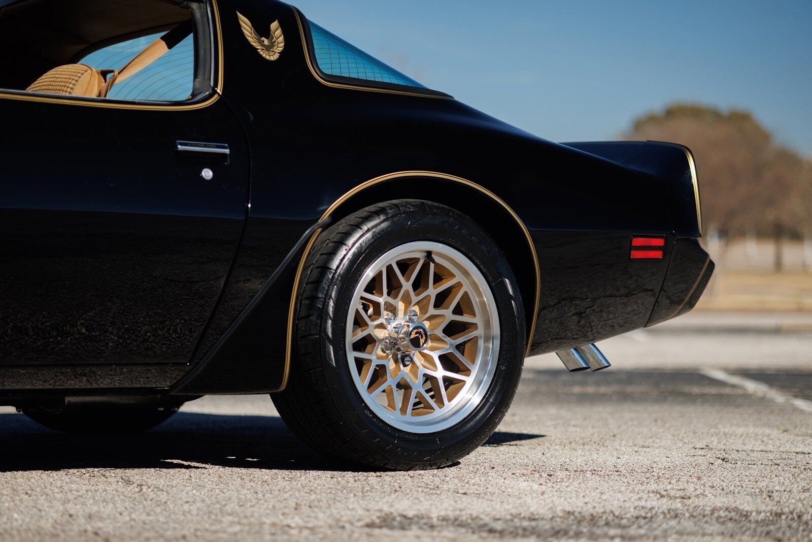 Pontiac-Firebird-1980-2D-Coupe-24